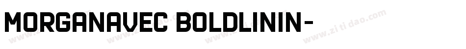 MorganAvec BoldLinin字体转换